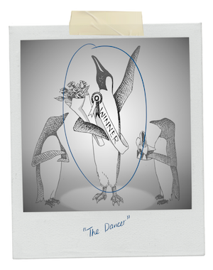 Drawing of a photograph of a penguin with a bouquet, a ribbon, and a sash that says 'WINNER', labeled as 'The Dancer'.